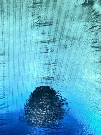 Messenger_creation_AE3858AB-1022-4D57-A33C-2FE65AE538B2.jpeg