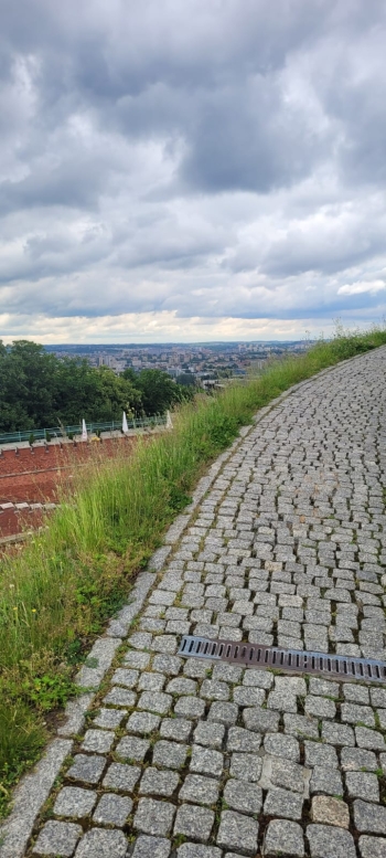 IMG-20250609-WA0175
