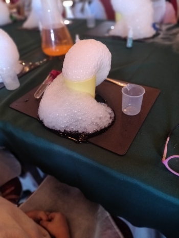 WhatsApp Image 2025-11-19 at 15.32.08 (2).jpeg