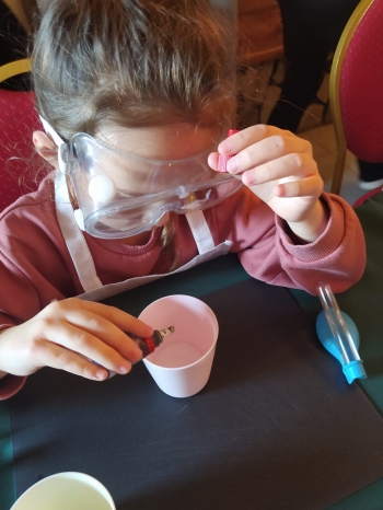 WhatsApp Image 2025-11-19 at 17.02.07.jpeg