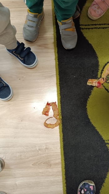 WhatsApp Image 2025-11-27 at 16.37.46 (1).jpeg