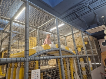 WhatsApp Image 2025-12-12 at 12.14.33 (1).jpeg