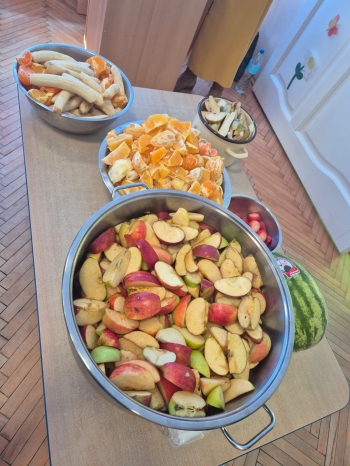 WhatsApp Image 2026-03-20 at 11.04.19.jpeg