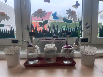 WhatsApp Image 2026-04-22 at 13.18.53.jpeg