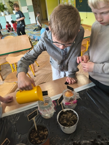 WhatsApp Image 2026-04-17 at 22.46.18.jpeg