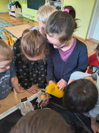 WhatsApp Image 2026-04-17 at 22.46.19 (1).jpeg