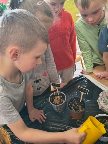 WhatsApp Image 2026-04-17 at 22.46.19.jpeg