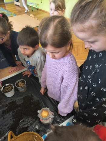 WhatsApp Image 2026-04-17 at 22.46.20.jpeg