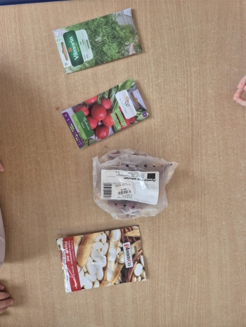 WhatsApp Image 2026-04-18 at 07.57.51.jpeg