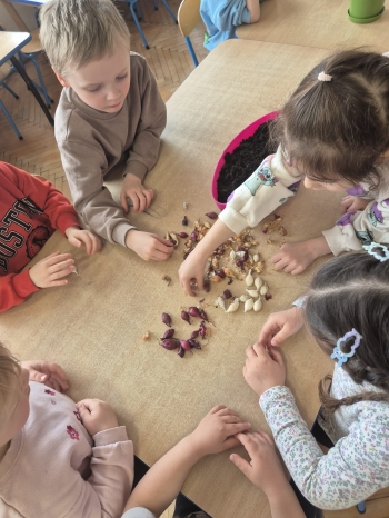 WhatsApp Image 2026-04-18 at 07.57.52.jpeg