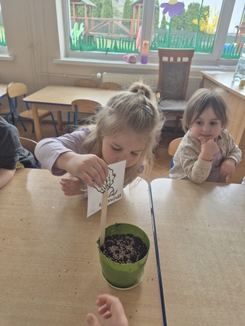 WhatsApp Image 2026-04-18 at 07.57.53.jpeg