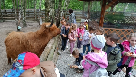 Wycieczka Gwiazdeczek do Mini Zoo Animal Island w Sierczy